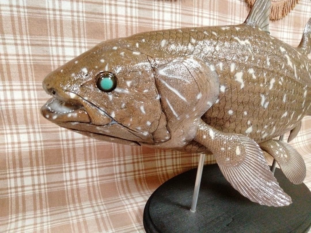ハンドメイド　61cmシーラカンス　茶　フィギュア　レプリカ　オブジェ　化石魚
