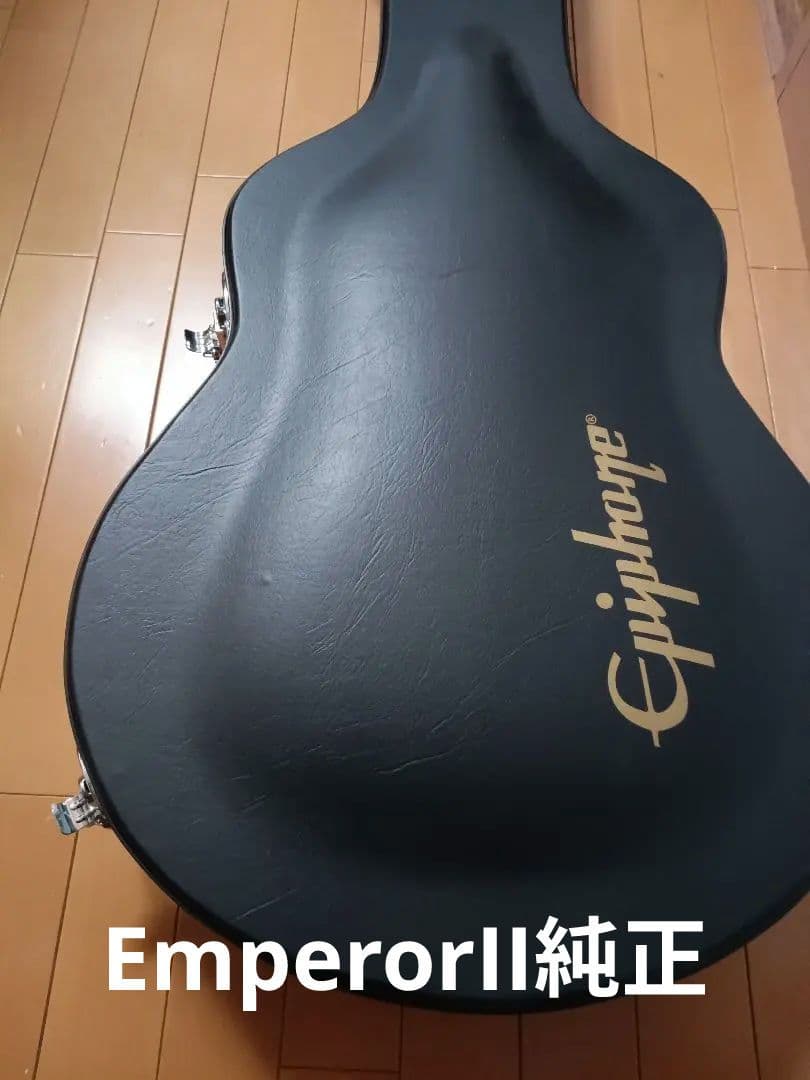 エピフォン フルアコ ビグスビー搭載 JOE PASS 純正ハードケース付