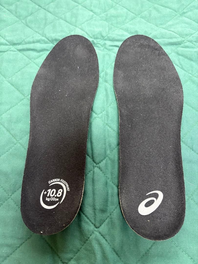ASICS GEL-NIMBUS 26 アシックス ゲルニンバス27.5㎝