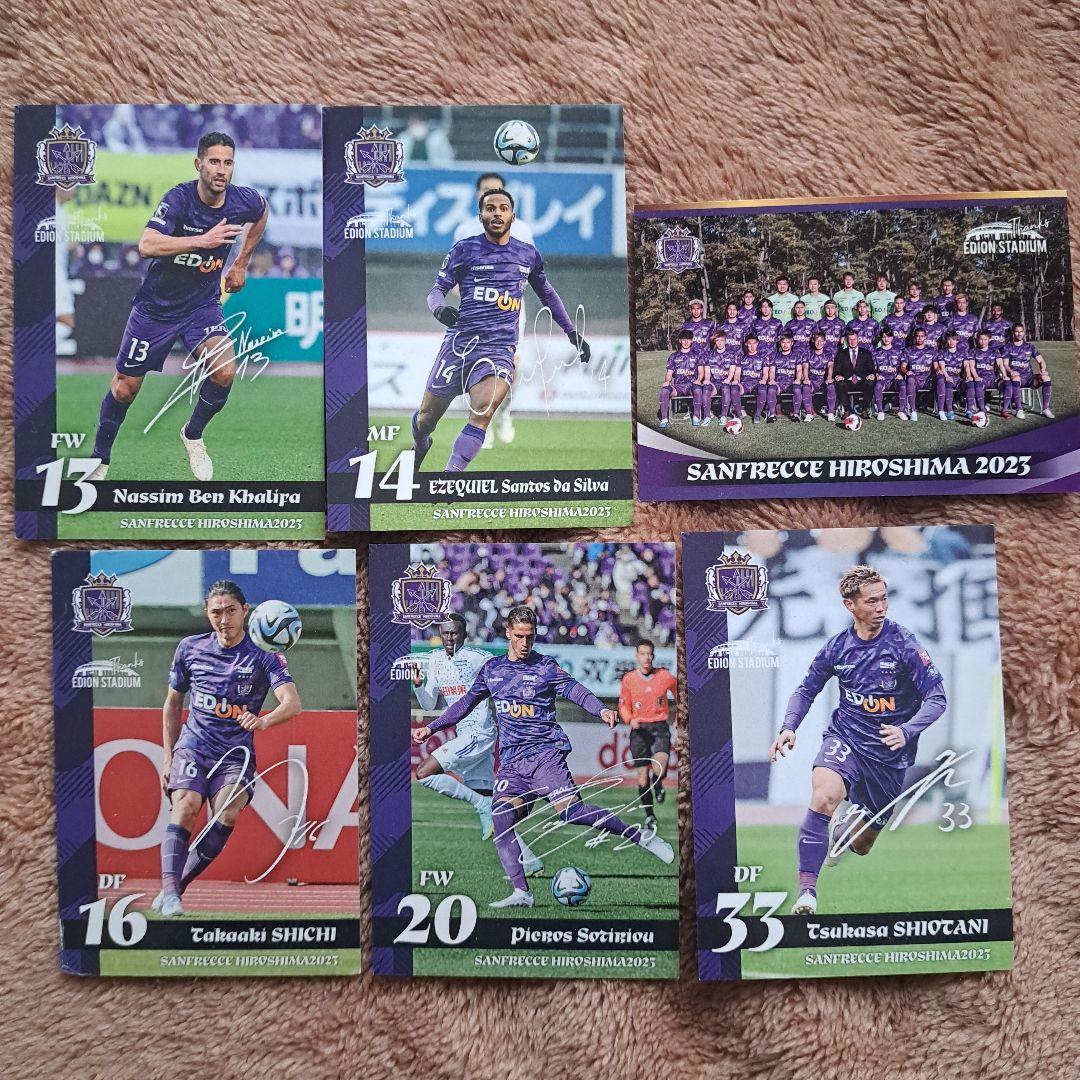 サンフレッチェ広島 クラブ会員限定カード+トレーディングカード カードケース付き