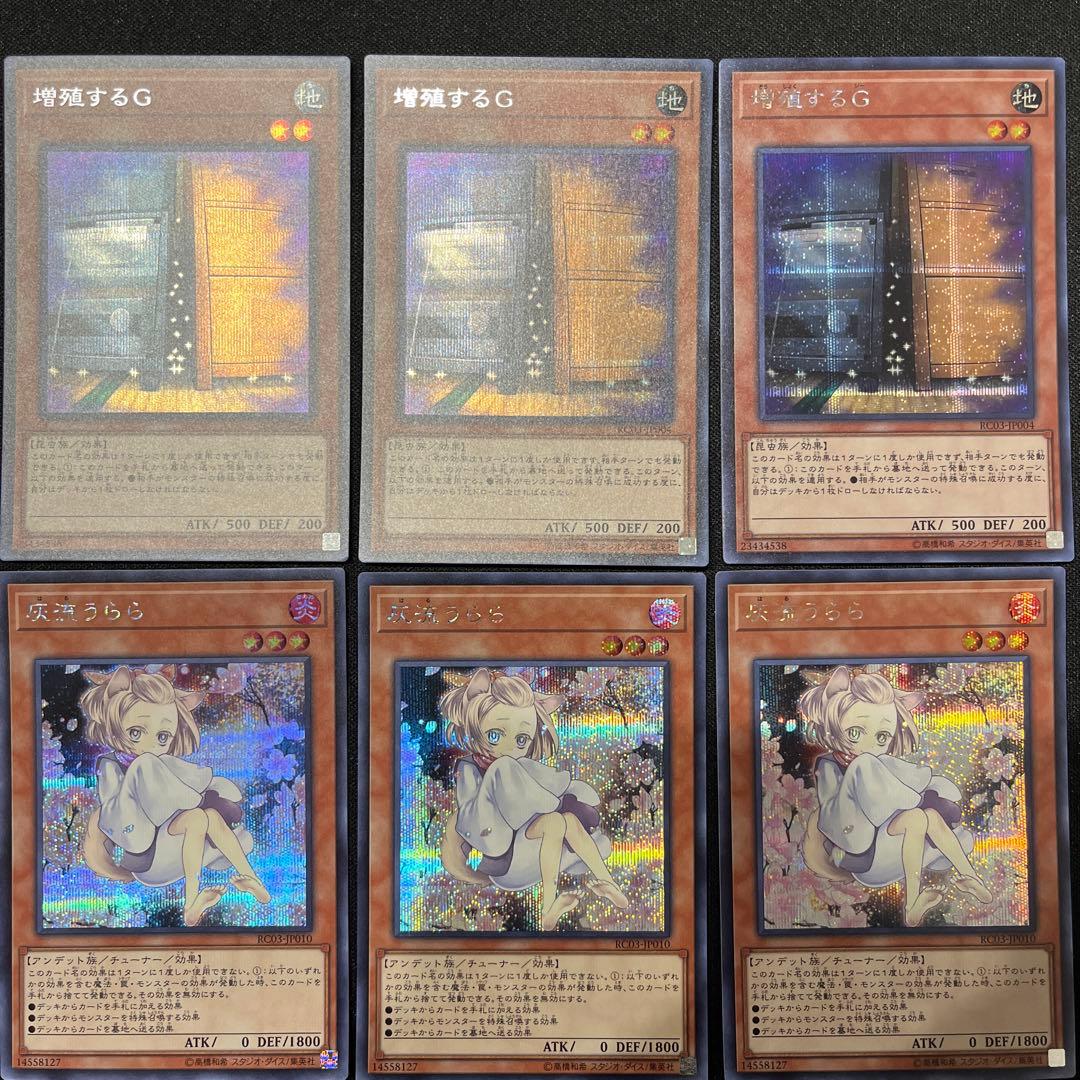 遊戯王 灰流うらら イラスト違い等 まとめ売り
