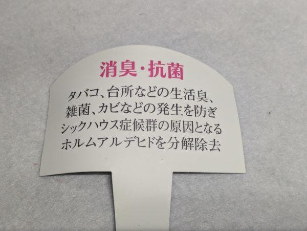 Y【中古】胡蝶蘭 造花 5本 光触媒加工 陶器鉢 アートフラワー ホワイト