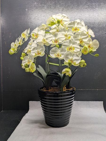 Y【中古】胡蝶蘭 造花 5本 光触媒加工 陶器鉢 アートフラワー ホワイト