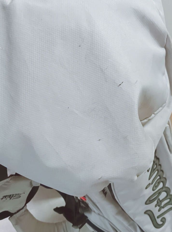 Titleist グレー キャディバッグ