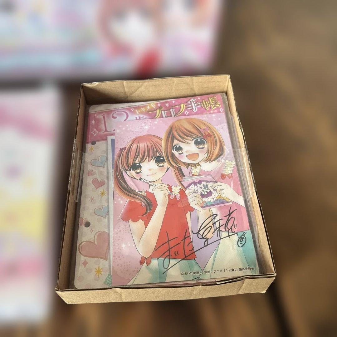 ⭐️希少未使用品⭐️12歳。トキメキプロフ手帳　ちゃお