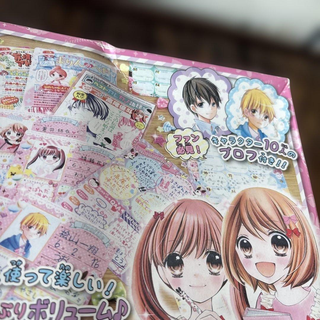 ⭐️希少未使用品⭐️12歳。トキメキプロフ手帳　ちゃお