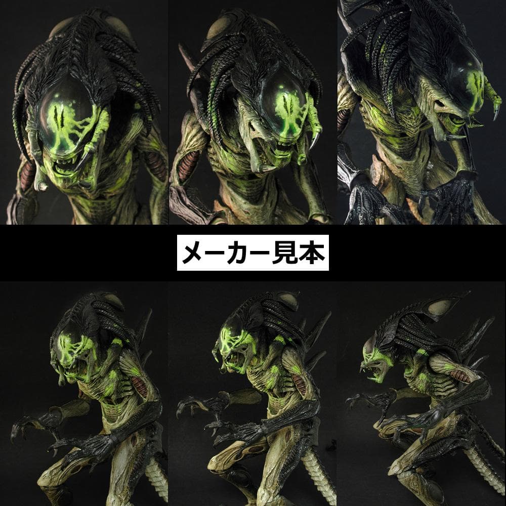限定版！AVP2【プレデリアン(バトルダメージ版)】1/6　HOT TOYS
