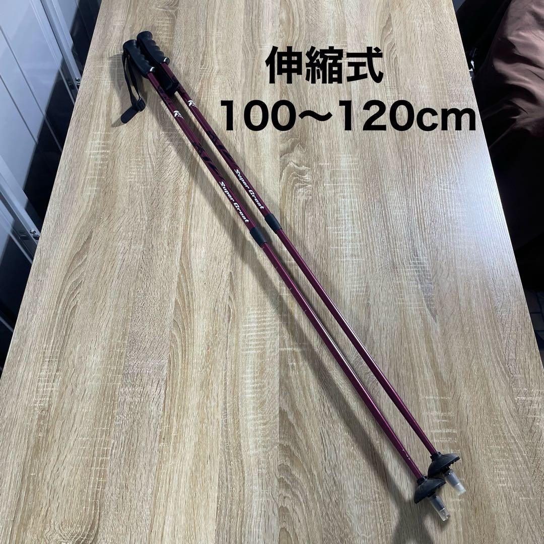 FISCHER150cm ROSSIGNOL24.5cmストック105cmセット
