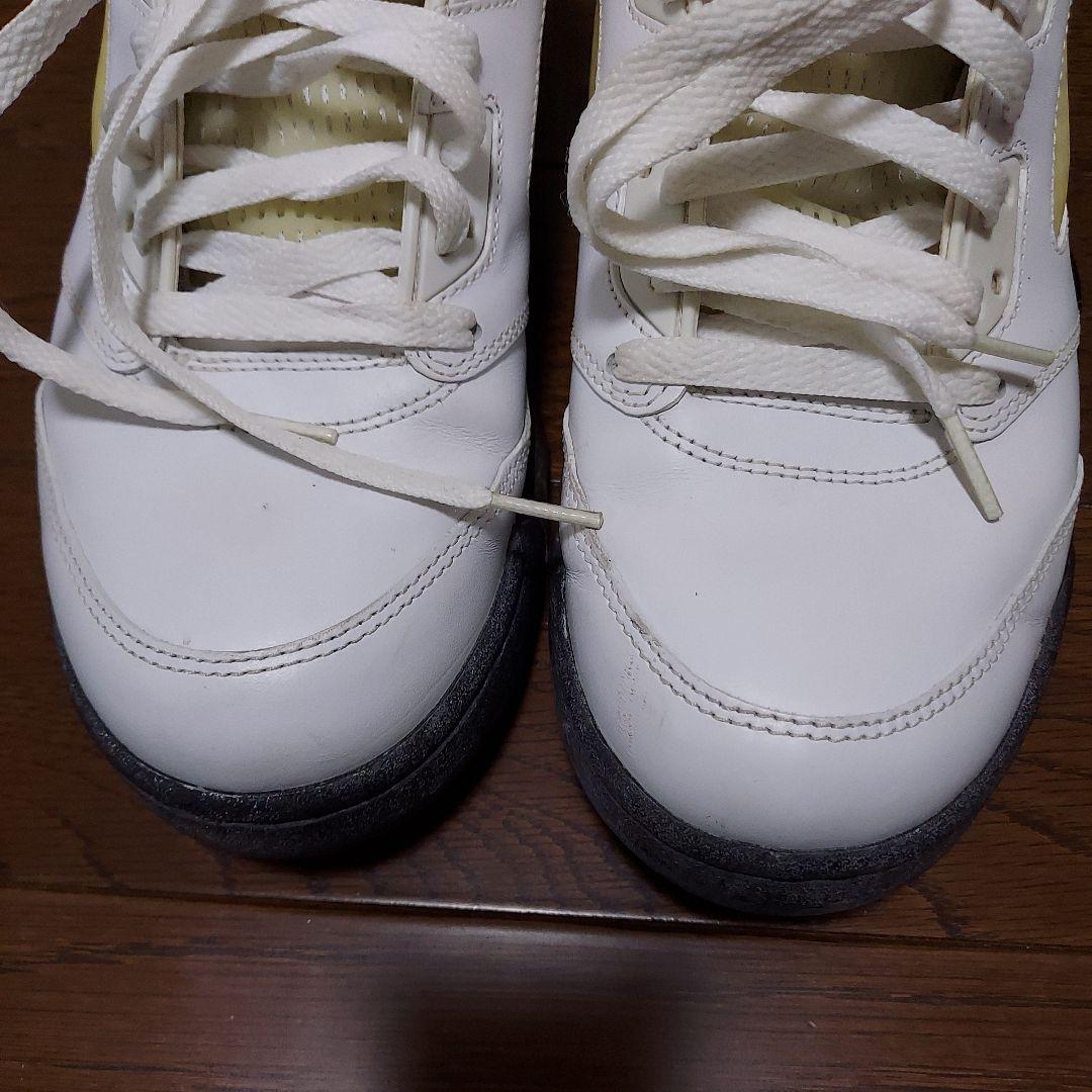 エアジョーダン5　　美品【２８cm】