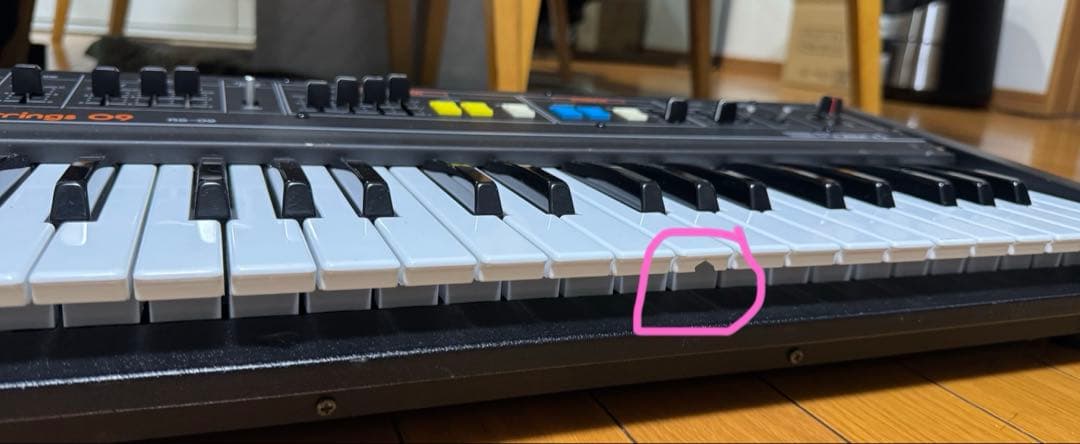 Roland RS-09 シンセサイザー