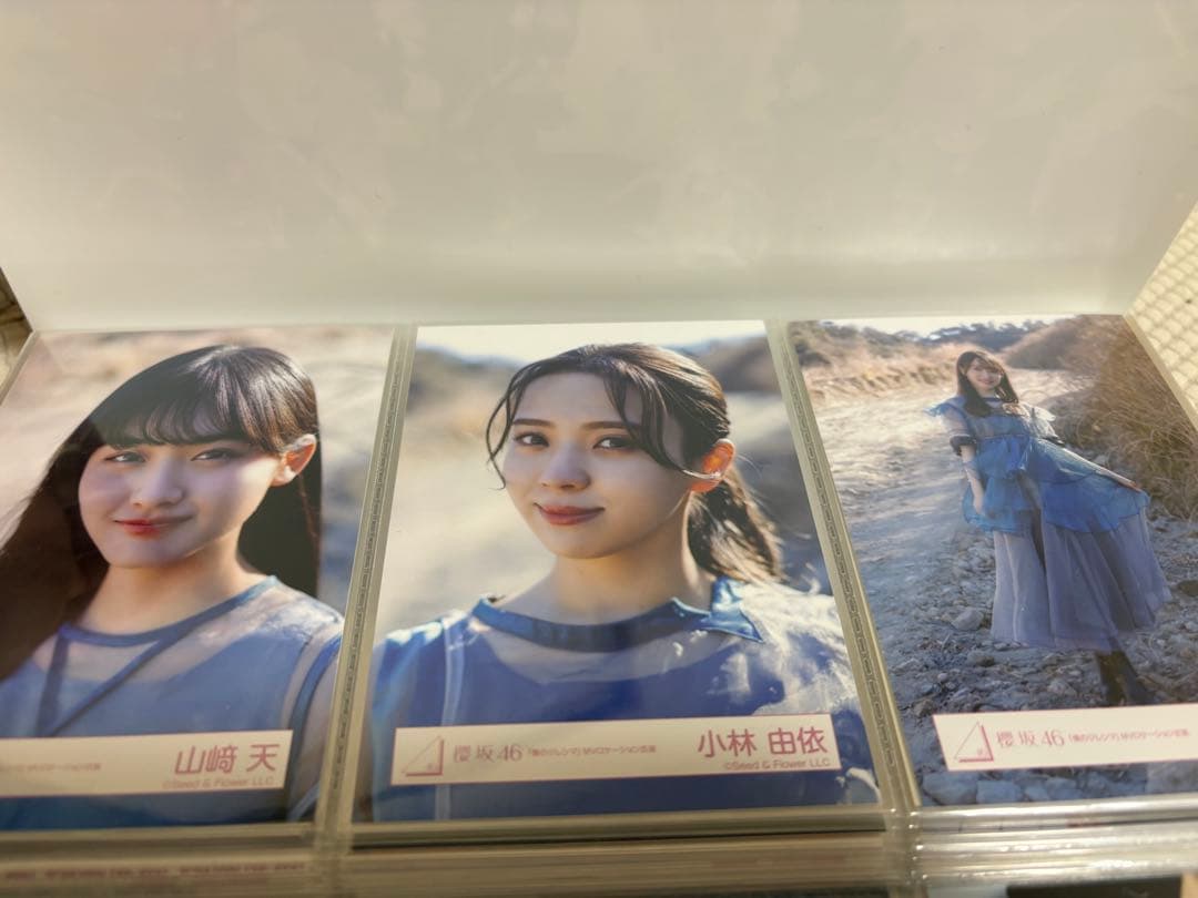 櫻坂46 生写真まとめ売り 224枚