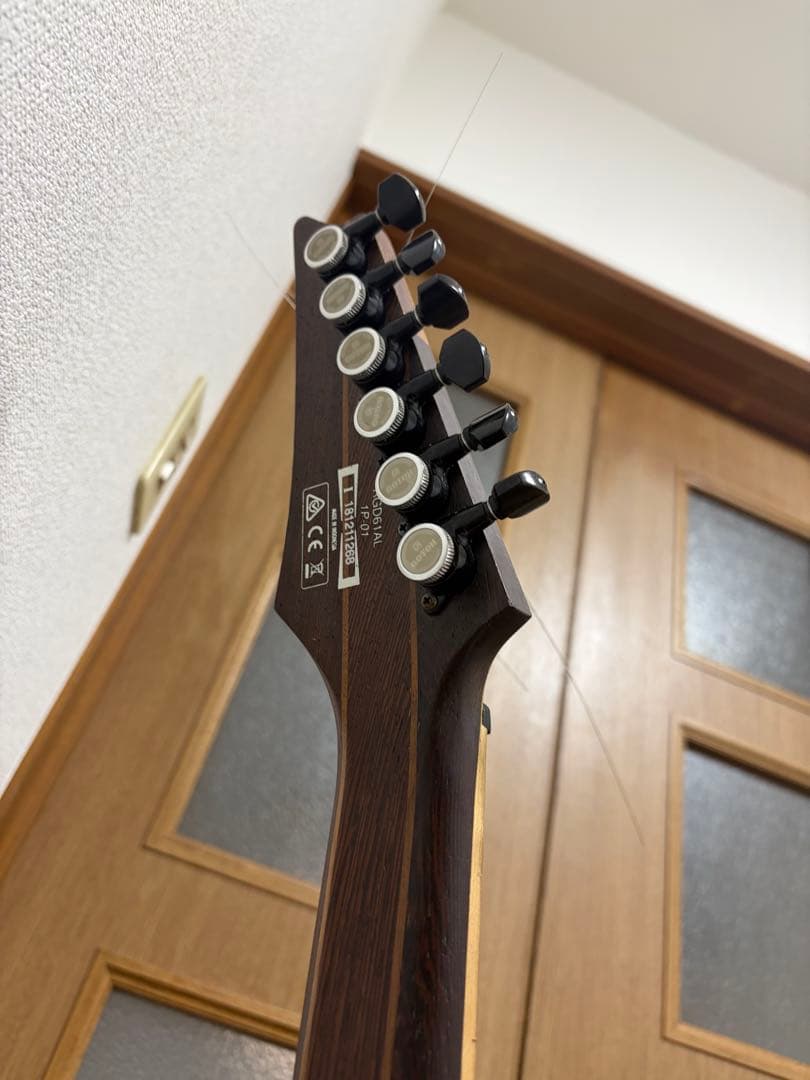 ギター Ibanez axion label RGD61AL