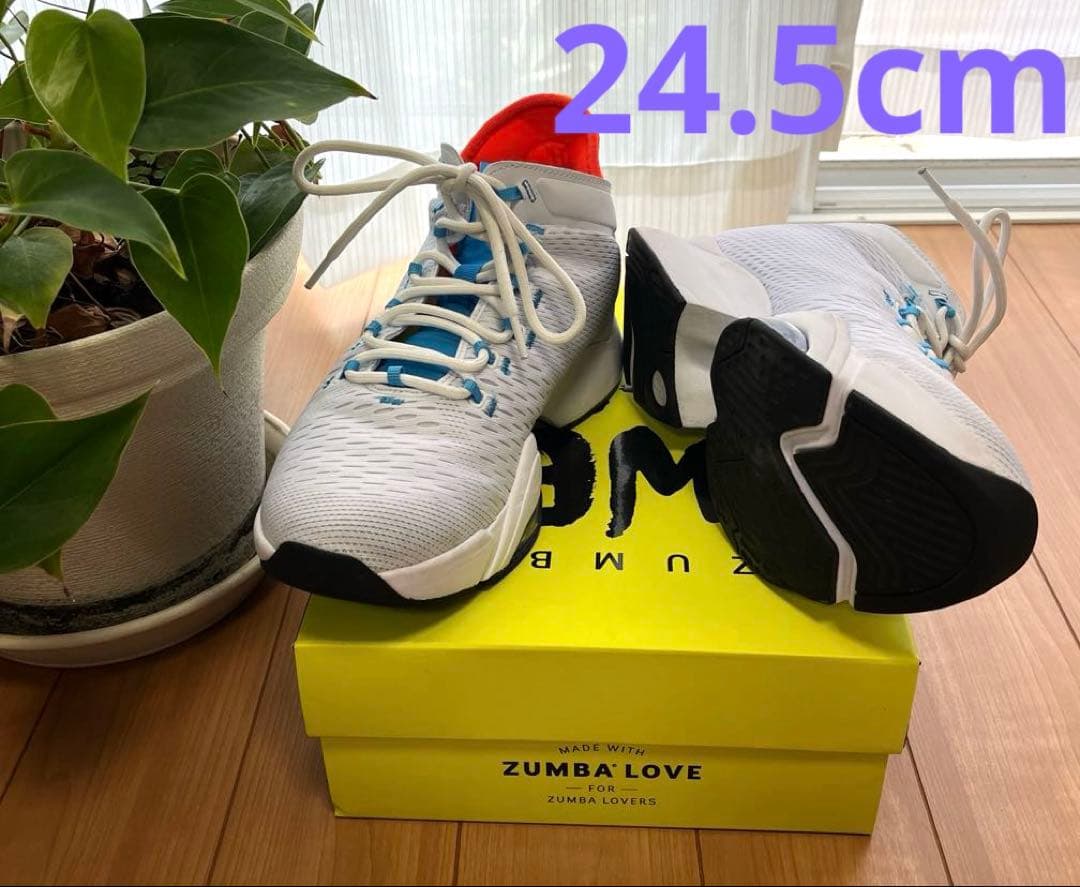 ZUMBAシューズ24.5cm 正規品