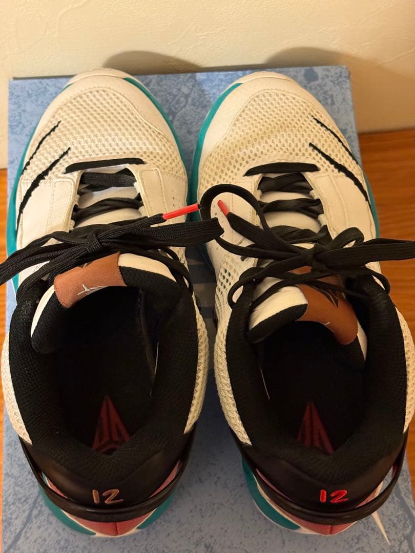 JA1 ジャ1 ジャモラントNIKE バスケットシューズ 25.5cm