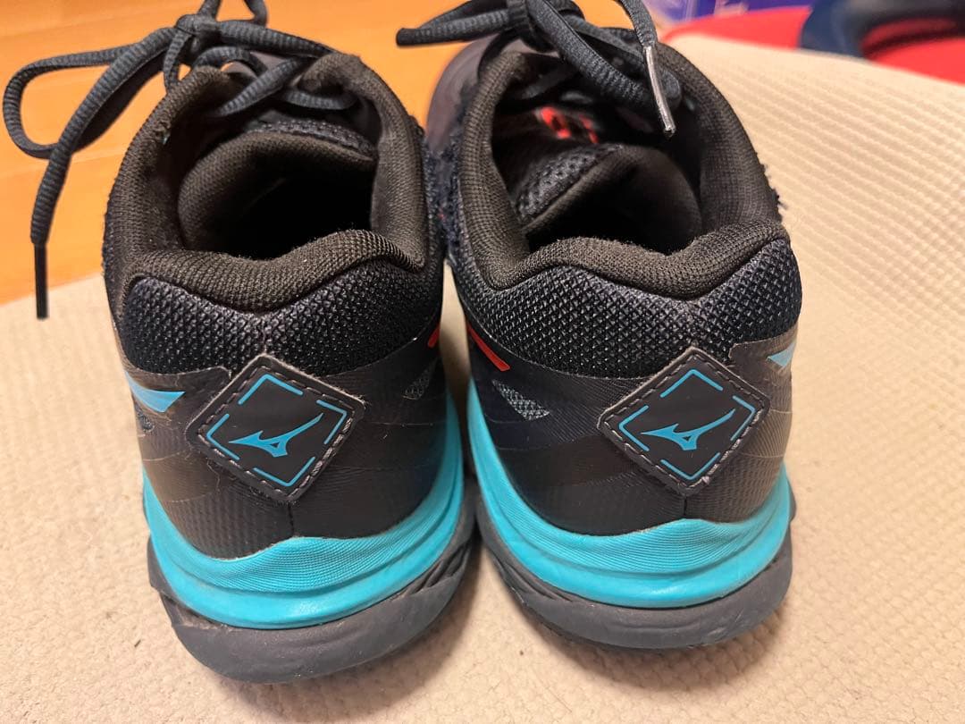 限定 ミズノ MIZUNO バドミントン シューズ ウェーブファング フィット