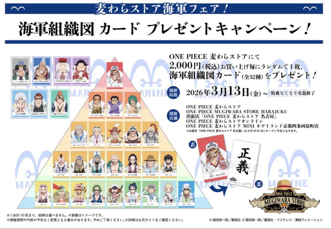 ONE PIECE ワンピース海軍組織図カード　32種類コンプリートセット