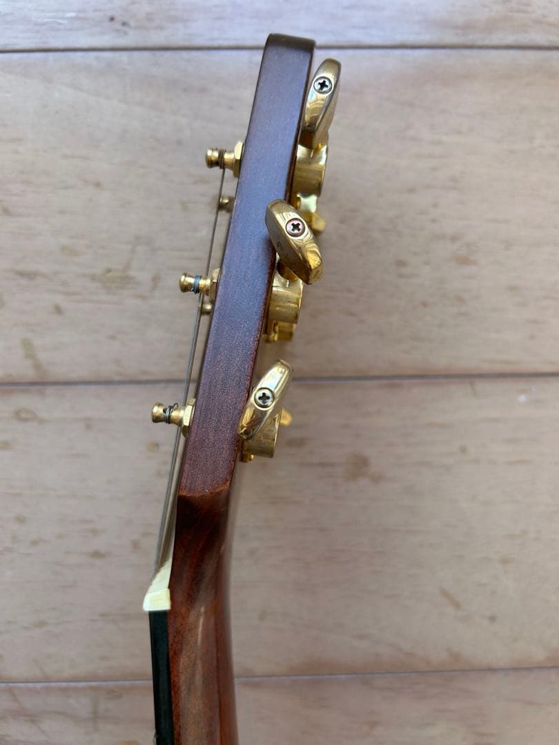 Fender starcaster nat エレアコ ギター