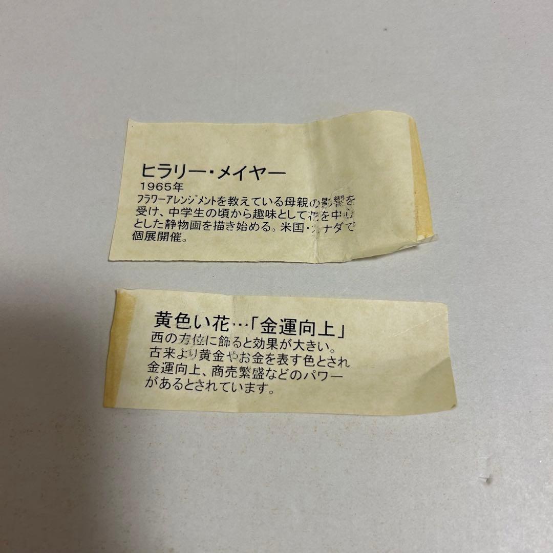 ヒラリーメイヤー　窓辺の黄色い花