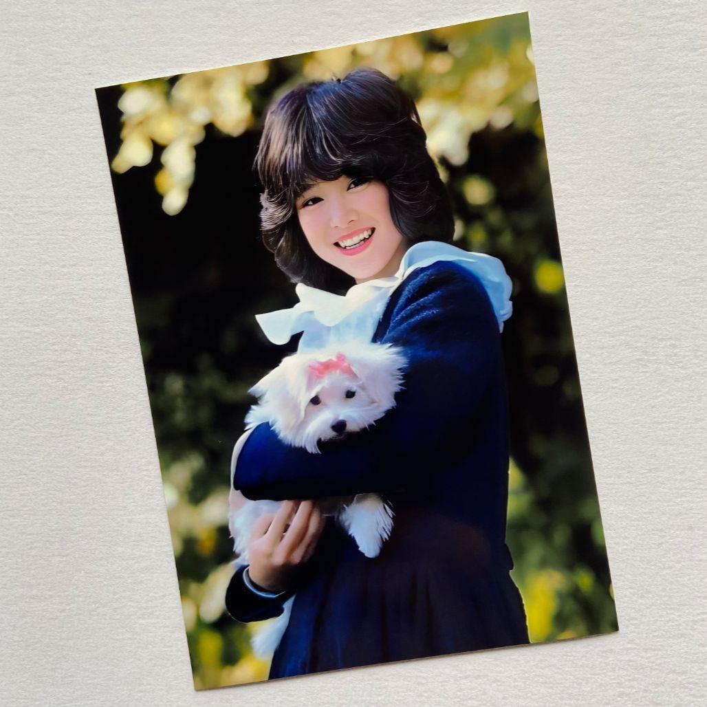【にゃこす】松田聖子綾瀬はるか写真Lサイズ41枚