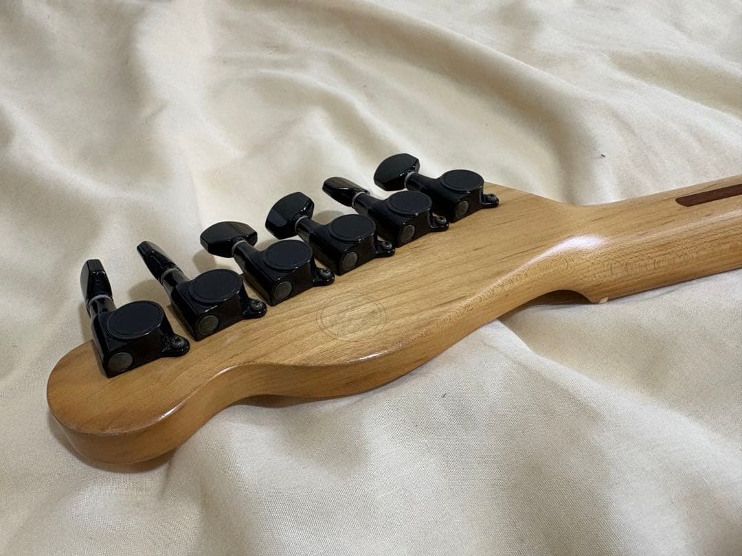 FERNANDES TE-85C EMG搭載 瀧川一郎モデル