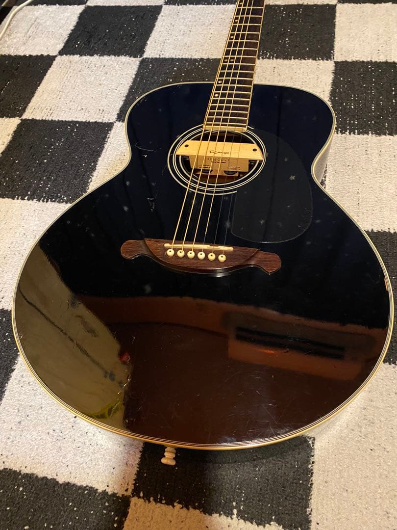 James JF350 (エレアコ仕様)