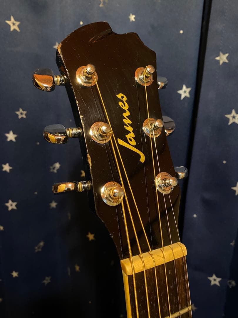 James JF350 (エレアコ仕様)