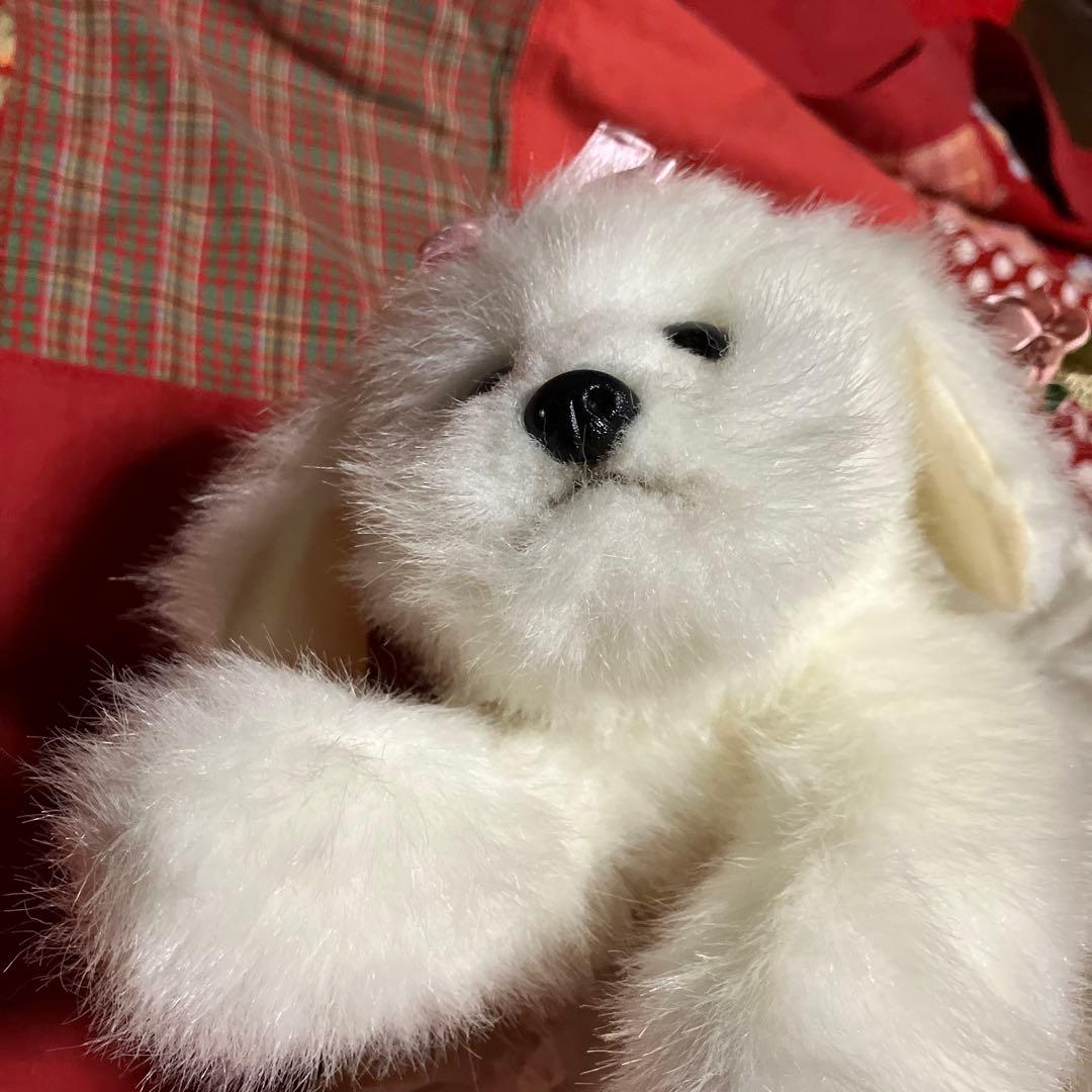 ぬいぐるみ犬　マルチーズ　白い犬　子犬わんちゃん　レトロぬいぐるみ犬　リアル