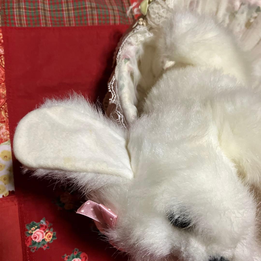 ぬいぐるみ犬　マルチーズ　白い犬　子犬わんちゃん　レトロぬいぐるみ犬　リアル