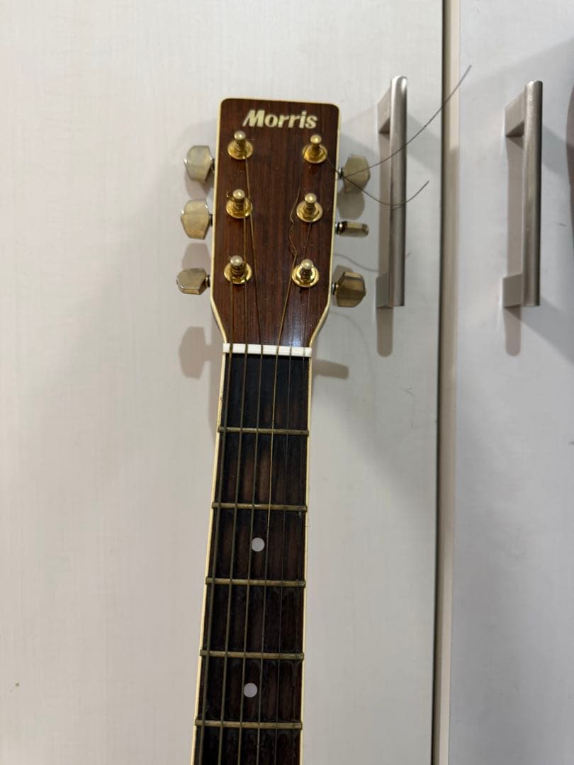 Morris アコースティックギター S-40