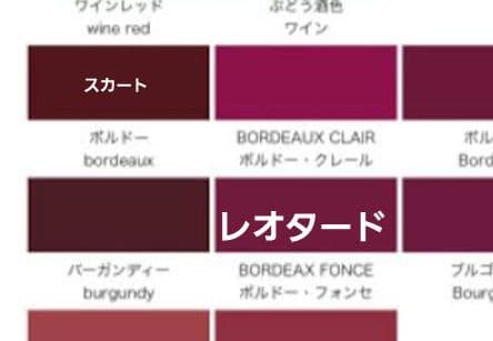 シルビア 大人バレエレオタード　スカートセット