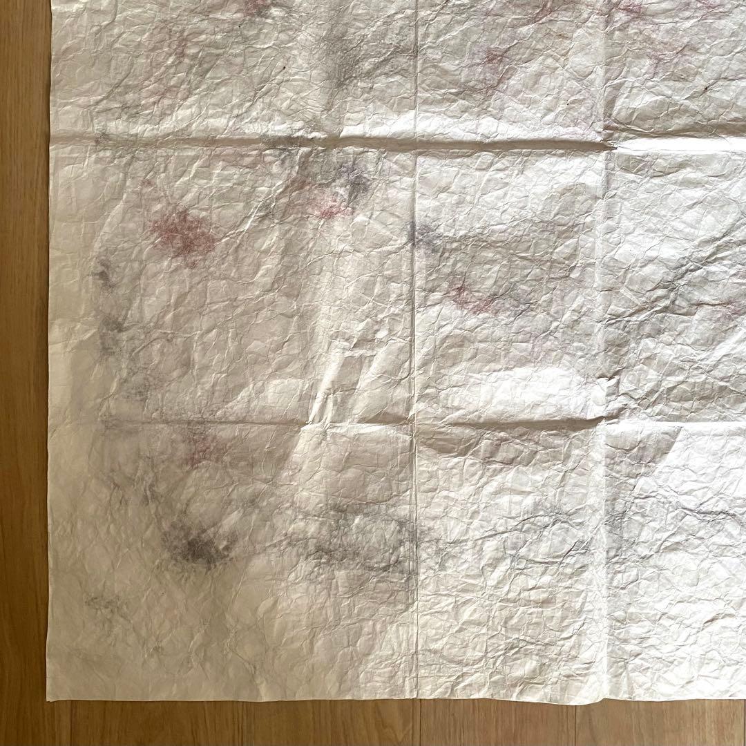 テント・タープ ULTRAHEAVY / Tyvek #3