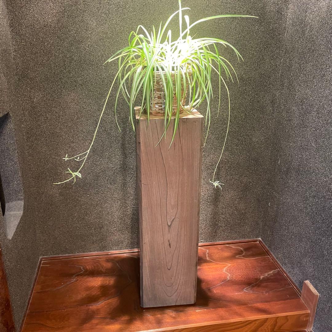 欅　けやき　古材　大黒柱　古民家 インテリアディスプレイに　24cm×24cm