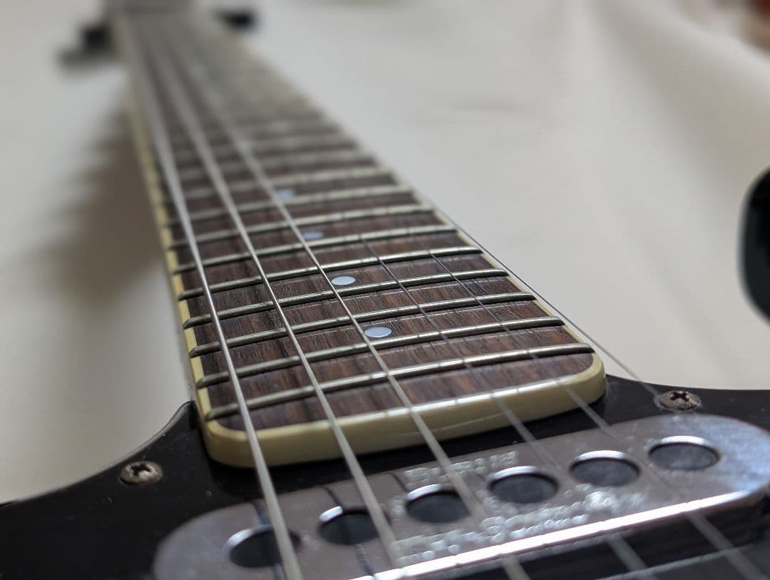 Burns Bison 62 ブラック ケース付