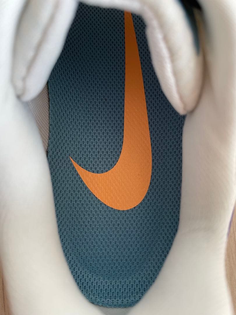NIKE ナイキ　Zoom Pegasus 39ウィメンズ ズーム ペガサス