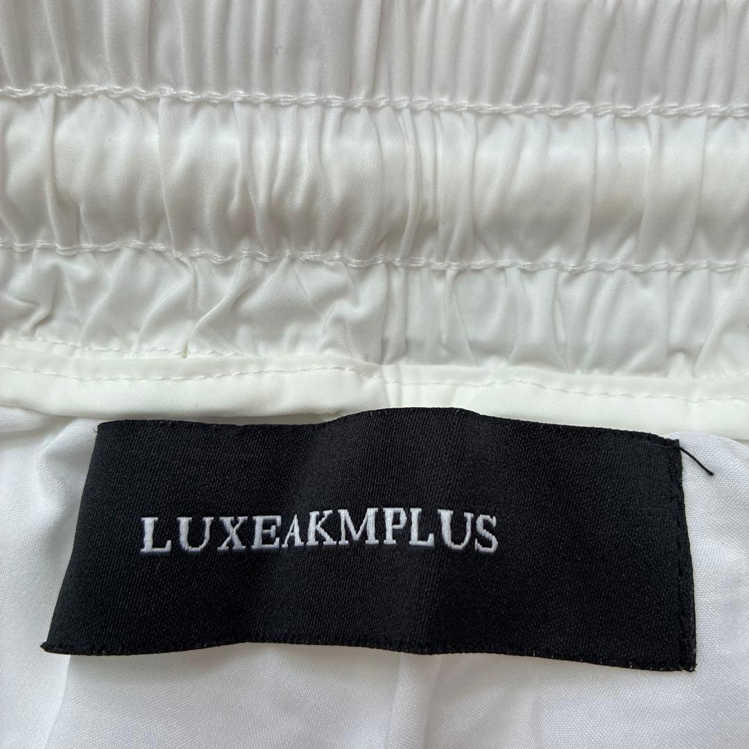 LUXEAKMPLUS リュクスエイケイエムプラス メンズゴルフパンツ　Lサイズ