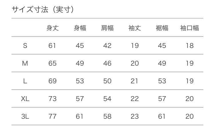ラグビーワールドカップ RWC2019 ティーシャツ XLサイズ