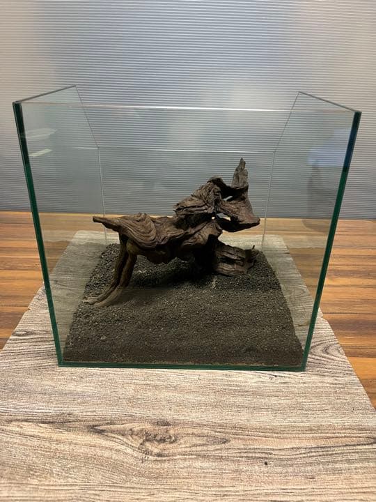 流木③