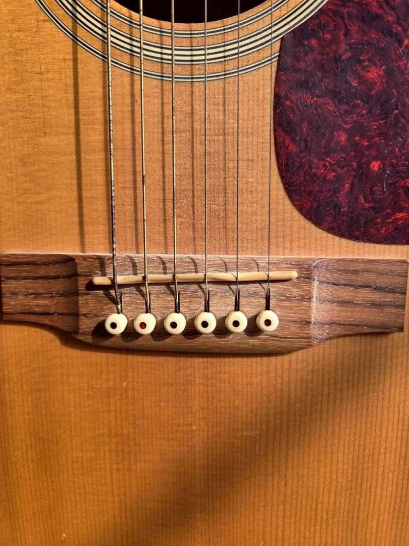 ギター Martin D-1