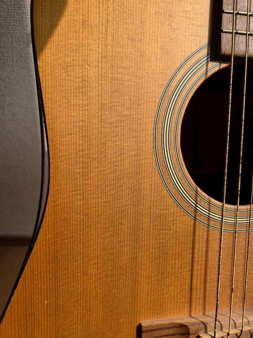ギター Martin D-1