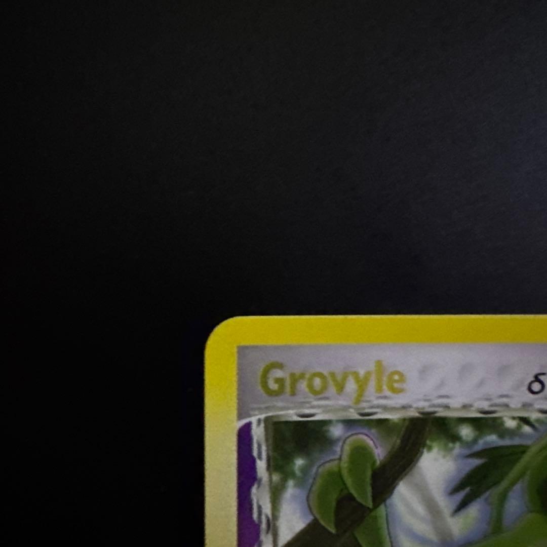 ジュプトル デルタスペック プロモ Grovyle promotioncard