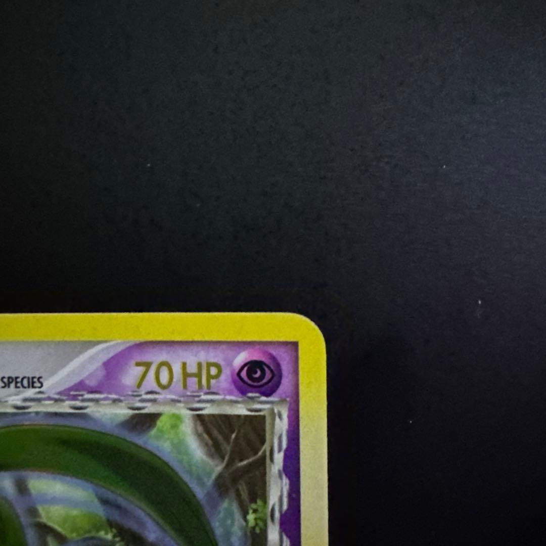 ジュプトル デルタスペック プロモ Grovyle promotioncard