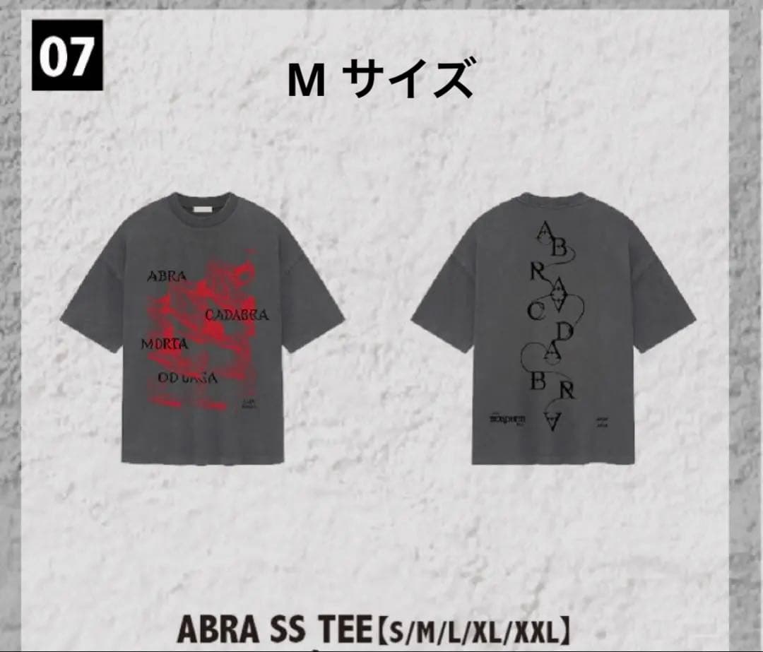 新品　Lady Gaga Tシャツ 2026 ツアー