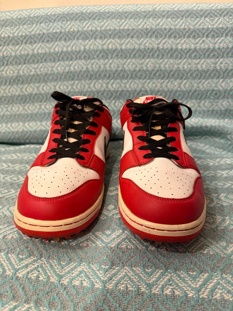 シューズ(男性用) NIKE DUNK Low golf \"chicago\" 29cm