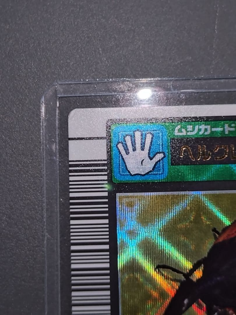 002ヘルクレスオオカブト 2003春 学名白