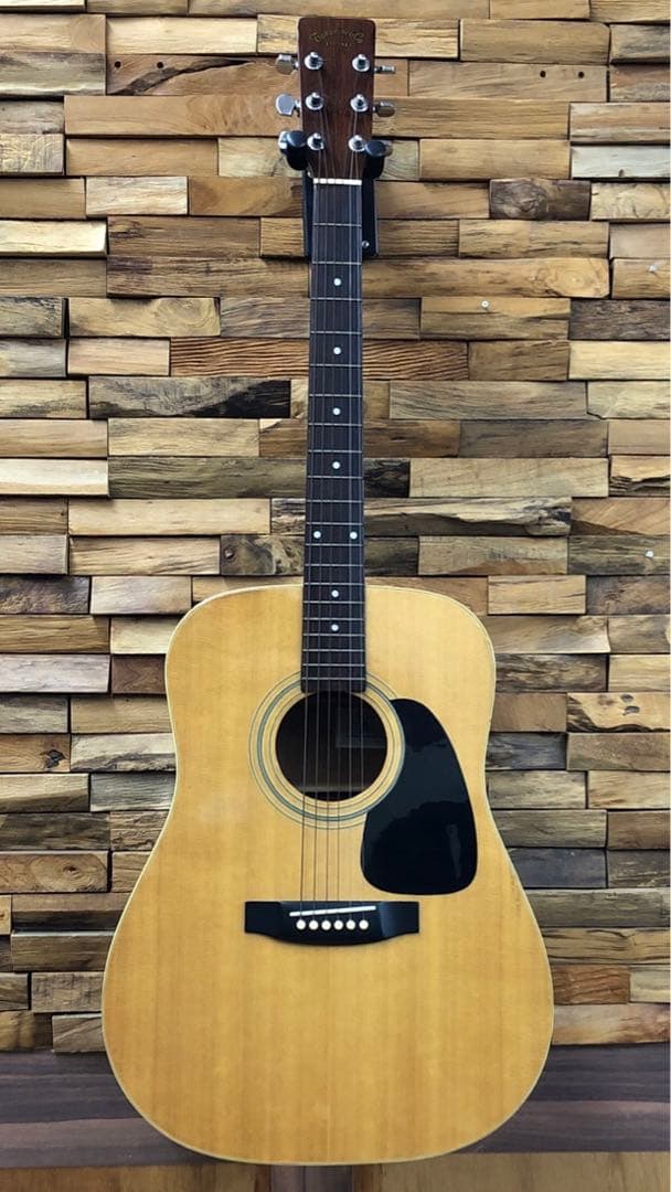 Takamine TD-25 アコースティックギター ソフトケース付