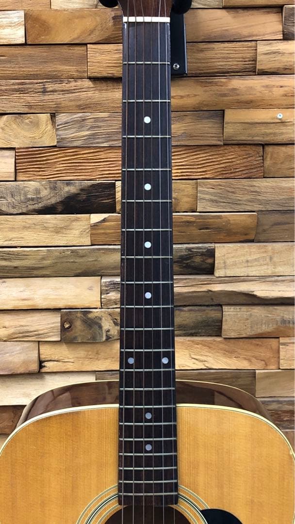 Takamine TD-25 アコースティックギター ソフトケース付