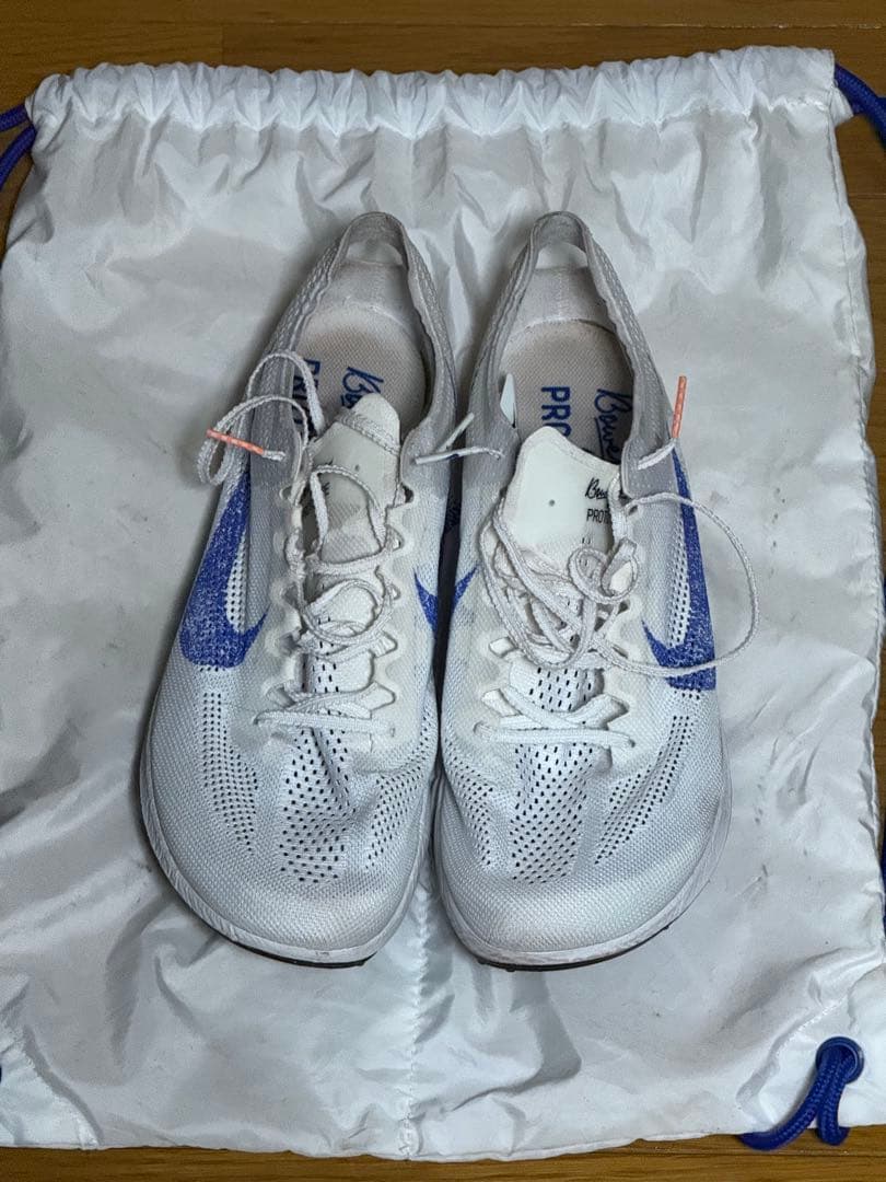 [最終値下げ]Nike ドラゴンフライ2 ブループリント 28.0