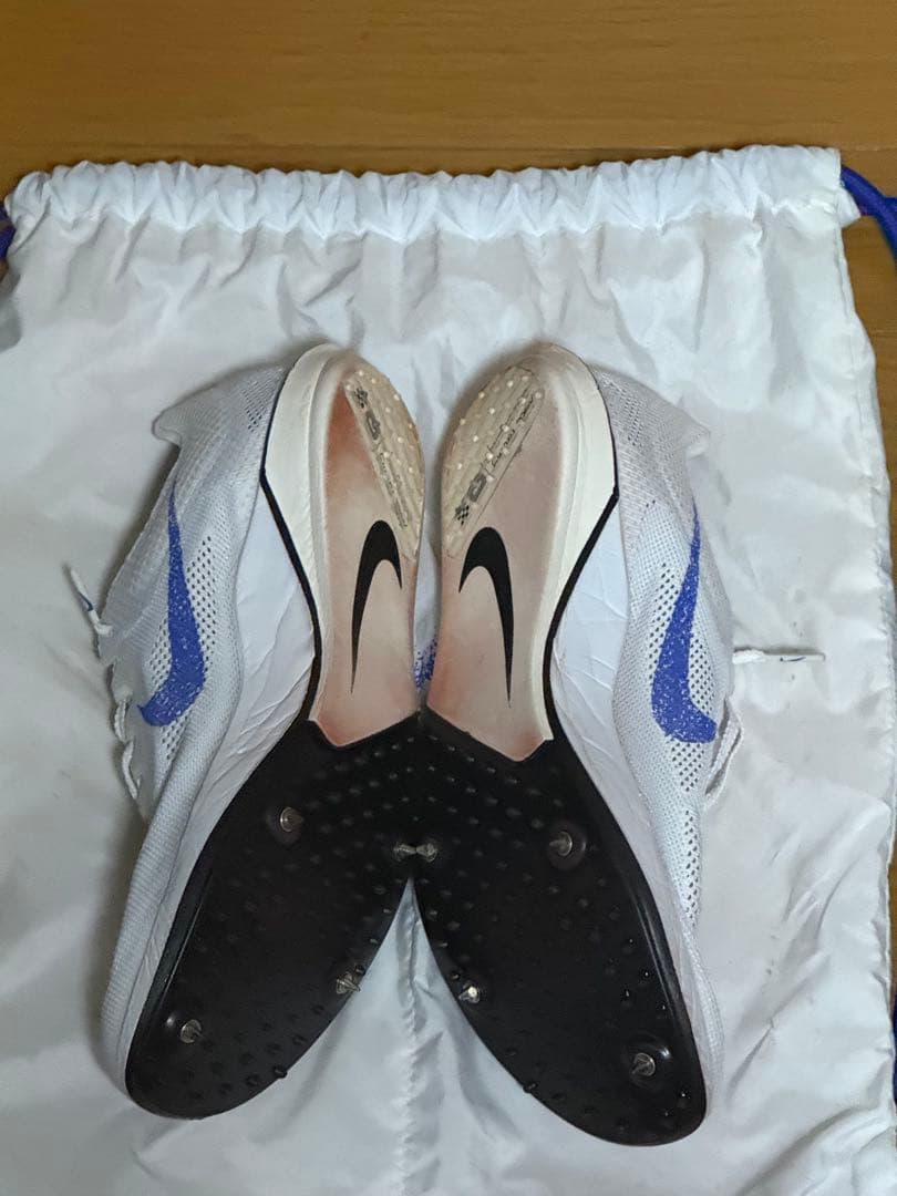 [最終値下げ]Nike ドラゴンフライ2 ブループリント 28.0