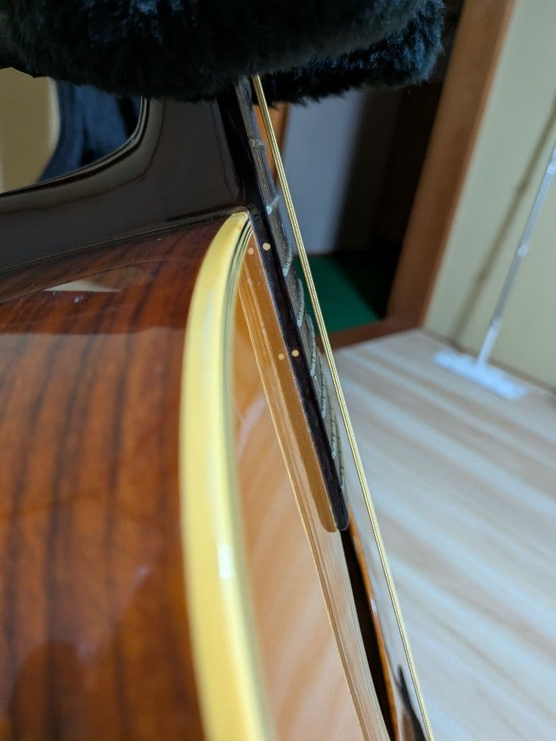 CAT'S EYES 1981年製 CE-600TW 12弦、美品、ケース付