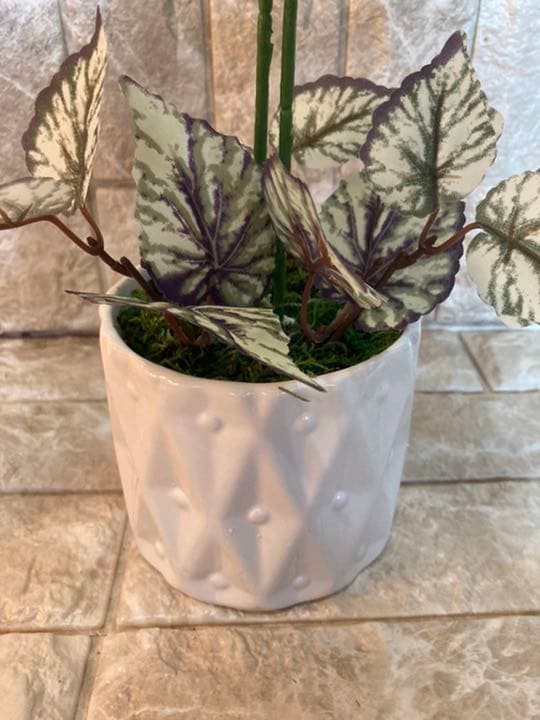 光触媒　人工観葉植物　造花　ウォールグリーン　ゴールデンリーフ54